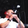 Foto Racoon te Concert at Sea 2022