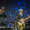 Foto Nile Rodgers & Chic op Pinkpop 2022 -Zondag