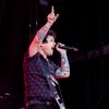 Foto Green Day te Hella Mega Tour - 22/06 - Stadspark