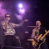 Foto Viagra Boys te Down The Rabbit Hole 2022 -Zaterdag