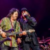 Foto Toto te Toto - 15/07 - Ziggo Dome