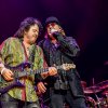 Toto foto Toto - 15/07 - Ziggo Dome