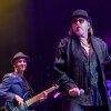 Toto foto Toto - 15/07 - Ziggo Dome