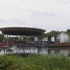  foto Tomorrowland 2022 (weekend 3)