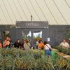 foto Tomorrowland 2022 (weekend 3)