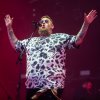 Foto Rag'n'Bone Man op Paléo 2022