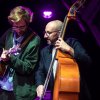 Foto Kings of Convenience te Kings of Convenience - 16/08 - Amsterdamse Bostheater