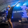 Joe & The Shitboys