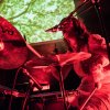 Foto Vulva te Vulva - 27/8 - Arminius