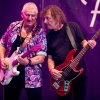 Rob Tognoni band