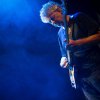 Foto Hallo Venray te Hallo Venray - 18/09 - Paard