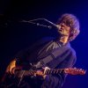 Foto Hallo Venray te Hallo Venray - 18/09 - Paard