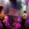 foto Hallo Venray - 18/09 - Paard