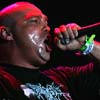 Foto  op Graspop 2004