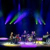 Foto The Zombies te De Zombies - 03/10 - Amare