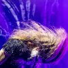 Foto Powerwolf te Powerwolf - 01/12 - AFAS Live