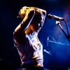 Foto Pitou op Pitou - 14/04 - Bitterzoet