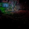 Foto Sabaton op Sabaton - 3/5 - Ziggo Dome