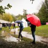 Cabaretinfo review: Bevrijdingsfestival Overijssel 2023