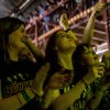 Festivalinfo review: Dauwpop 2023