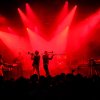 Jungle By Night foto Dauwpop 2023