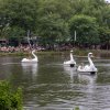 Festivalinfo review: Central Park 2023