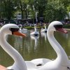 Foto  op Central Park 2023