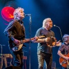 Foto The Analogues op Bospop 2023