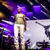 Foto Seal op North Sea Jazz 2023