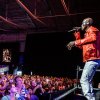 Foto Seal op North Sea Jazz 2023
