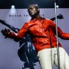 Seal foto North Sea Jazz 2023