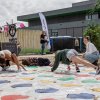 Podiuminfo review: Haltpop 2023