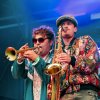 Foto Primaat op Waterpop 2023