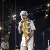 Foto Max Romeo op Paléo 2023