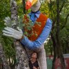 Foto  op Sziget 2023 - Zondag