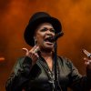 Foto Ruth Jacott te Zuiderpark Live: Ruth Jacott - 19/08 - Zuiderparktheater