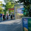 Foto  op Zuiderpark Live: Ruth Jacott - 19/08 - Zuiderparktheater