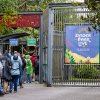 Foto  op Zuiderpark Live: Racoon - 24/08 - Zuiderparktheater
