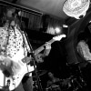 The Tommycats