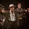 Foto Kid Creole & The Coconuts te Kid Creole & The Coconuts - 09/09 - Paard