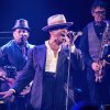 Kid Creole & The Coconuts foto Kid Creole & The Coconuts - 09/09 - Paard
