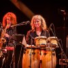 Foto Sven Hammond Big Band te Zuiderpark Live: Sven Hammond Big Band - 10/09 - Zuiderparktheater