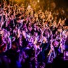 Foto op Zuiderpark Live: Snelle - 09/14- Zuiderparktheater