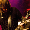 Foto Mastodon te Mastodon - 30/11 - Tivoli