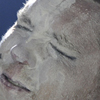 Sunnpimp