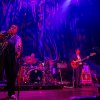Foto Lee Fields op Ramblin' Roots 2023