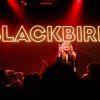 Foto Blackbird op Blackbird Bitterzoet