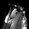 The Rakes