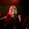 Foto Blackbird op Blackbird - 02/03 - Metropool