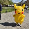 Foto  op Elfia Haarzuilens 2024